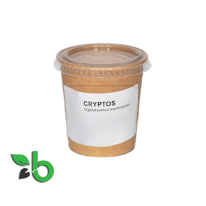 Cryptos
