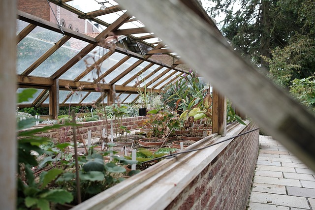 Hou je planten gezond en vermijd plagen.PB