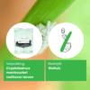 cryptolaemus montrouzieri roofkevers tegen wolluis