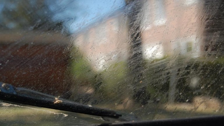 Plakkerige laag op de auto? Honingdauw!