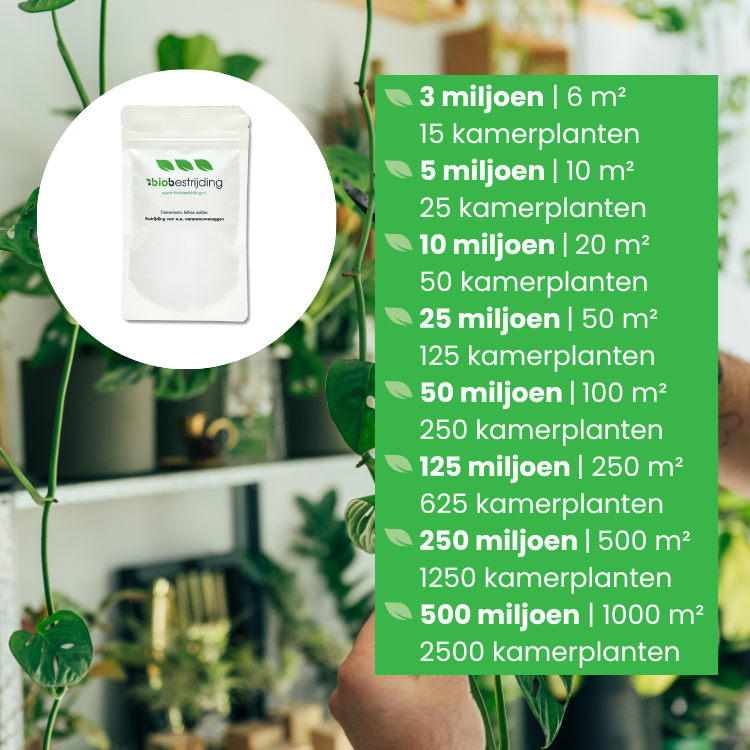 Aaltjes tegen rouwvliegjes doseringen