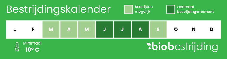Bestrijdingskalender witte vlieg roofwantsen