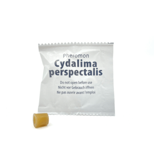 feromoon capsule buxusmot