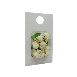 Adalia lieveheersbeestje larven