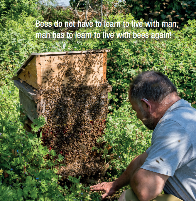 geert steelant varroa mite control