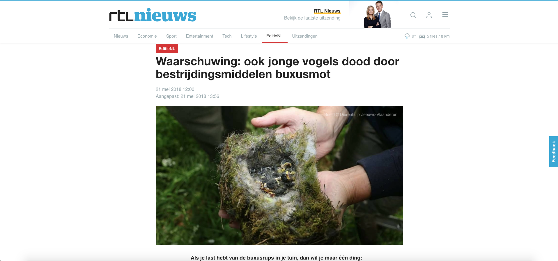 Dode vogeltjes door chemische bestrijding buxusmot