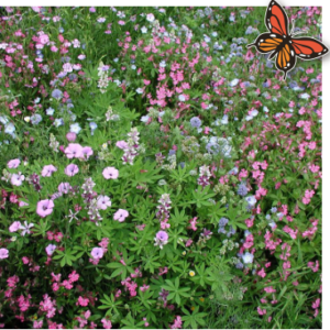 bloemenmengsel laag