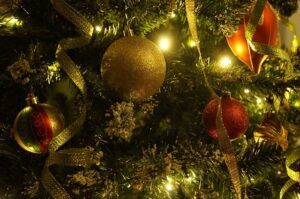 Kerstboom close up - Biobestrijding