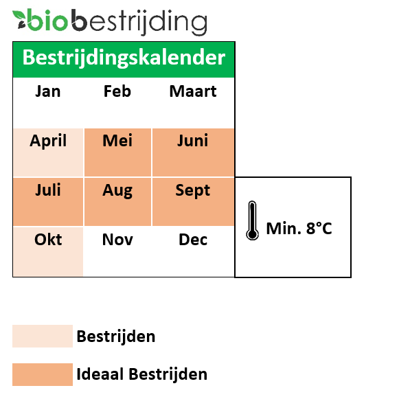 Mieren bestrijden met aaltjes(1)