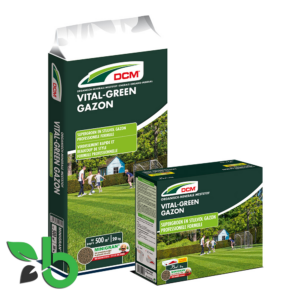 Vital Green Gazon