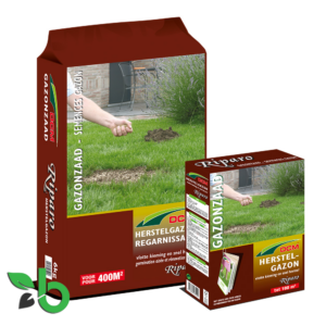 Graszaad Riparo