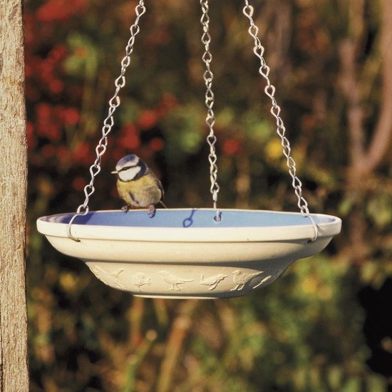 hangende waterschaal vogels