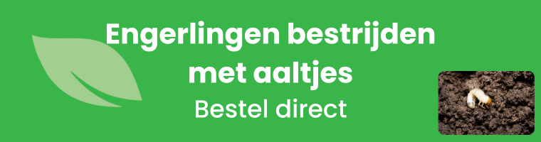 Engerlingen bestrijden met aaltjes - Bestel direct