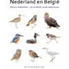 Minigids Vogels van Nederland en België