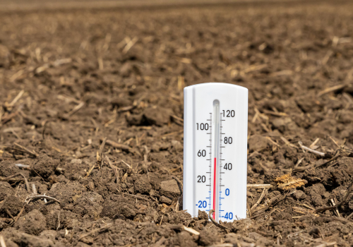 Bodemtemperatuur in de tuin