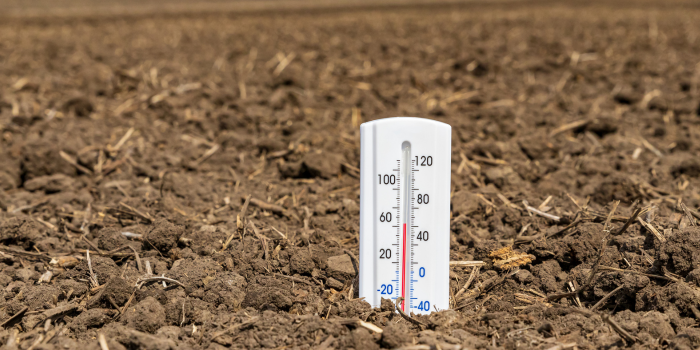 Bodemtemperatuur in de tuin