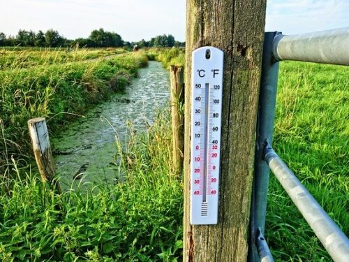 bodemtemperatuur in de tuin meten voor inzet bestrijders