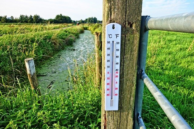 bodemtemperatuur in de tuin meten voor inzet bestrijders