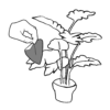 Bestrijding van Spint Phytoseiulus persimilis op blad