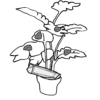 Roofmijten tegen spint op blad (correctief) - Afbeelding 2