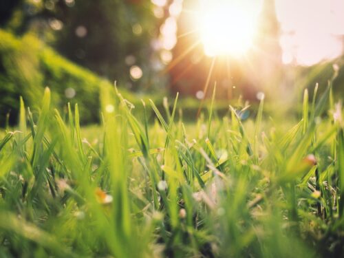 Natuurlijk je tuin klaarmaken voor het voorjaar!