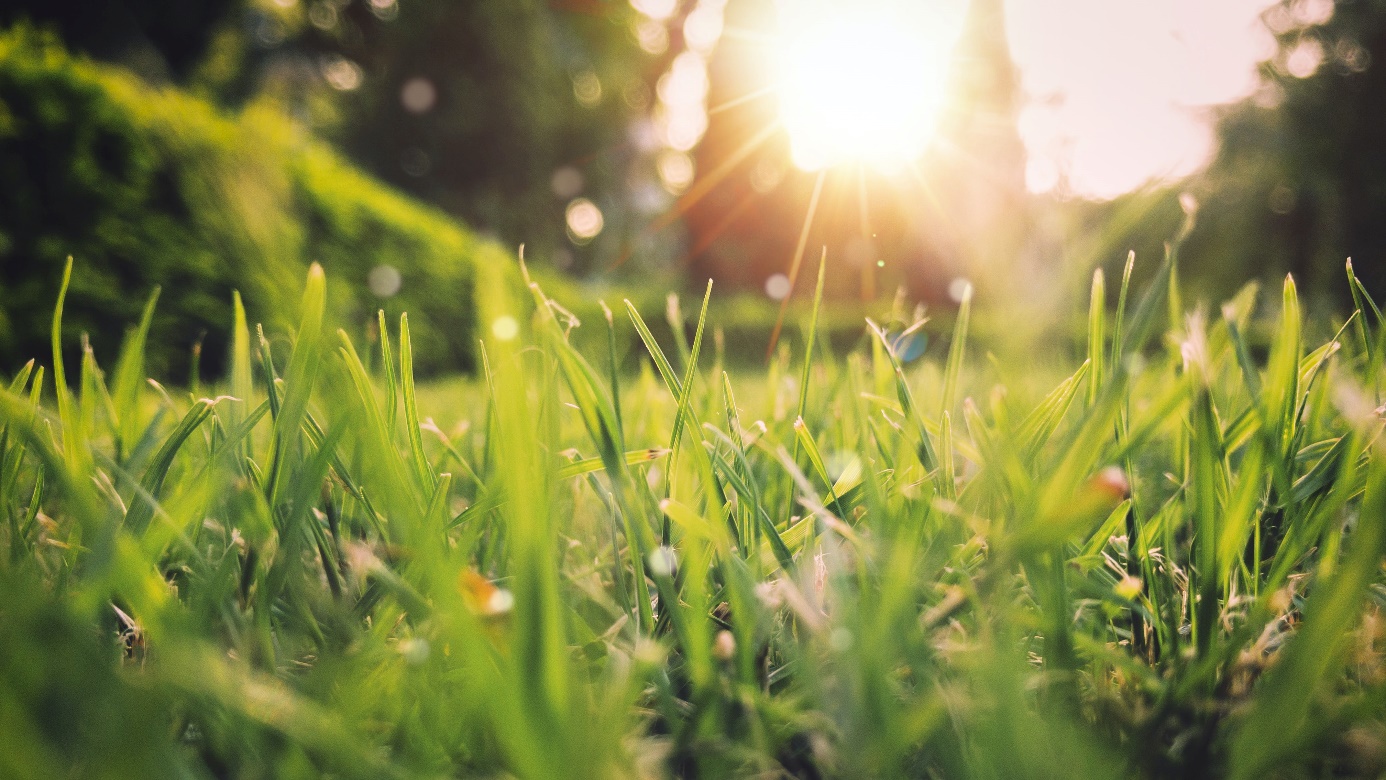 Natuurlijk je tuin klaarmaken voor het voorjaar!