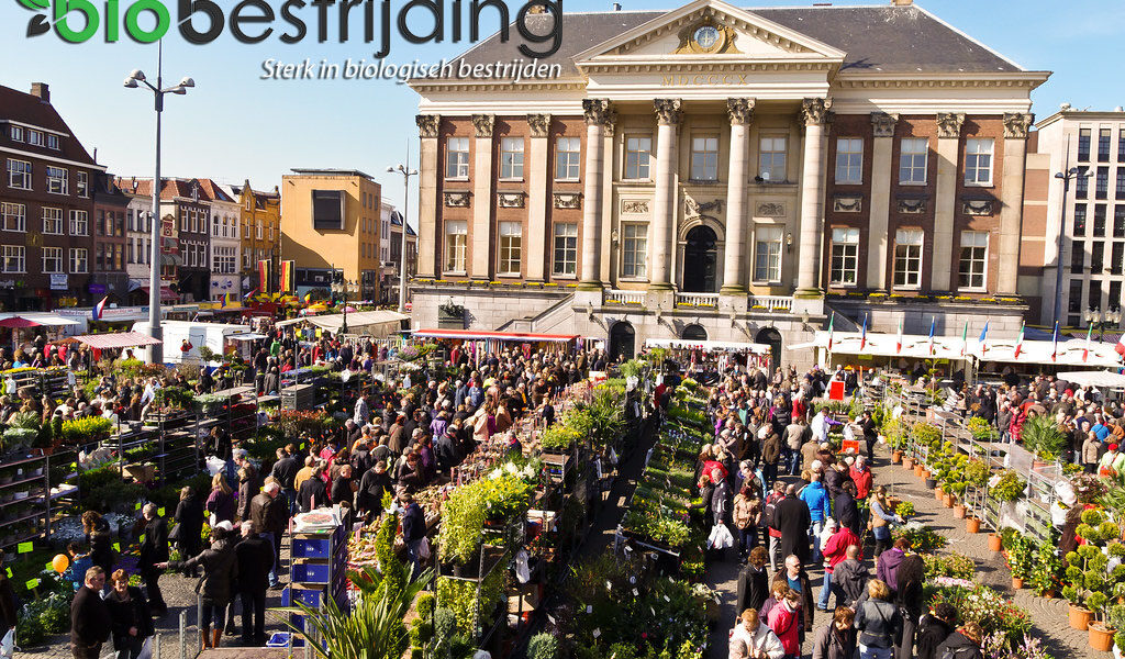 bloemenmarkt 2022