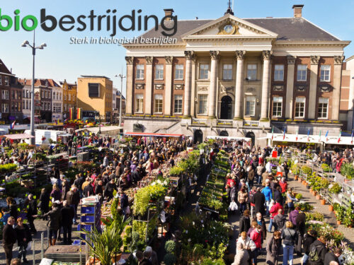 bloemenmarkt 2022