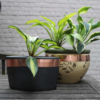 kopertape bij planten