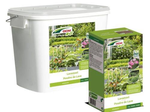 Lavameel: Onmisbaar in elke (ecologische) tuin!