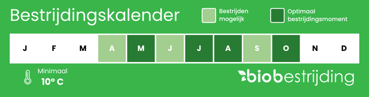 bestrijdingskalender buxusrups aaltjes