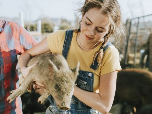 Vier dierendag en leer meer over de geschiedenis