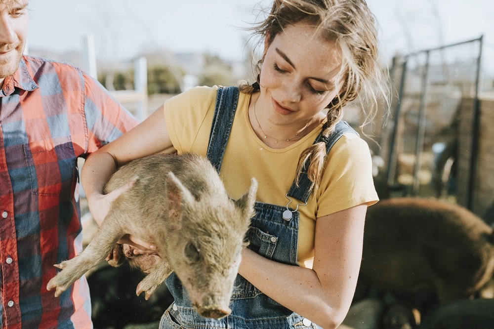 dierendag de geschiedenis en tips om het te vieren-min(1)