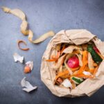 Composteren is een geweldige manier om je afval te verminderen en het milieu te helpen. Wormcompostering is een vorm van compostering waarbij wormen worden gebruikt om organisch materiaal af te breken. Het is een eenvoudige, efficiënte en geurloze manier om te composteren. Wormcompostering heeft veel voordelen. Het vermindert de hoeveelheid afval die naar stortplaatsen wordt gestuurd, het helpt de gezondheid van de bodem te verbeteren, en het kan zelfs worden gebruikt om meststof mee te produceren. Als je wilt beginnen met wormen composteren, zijn er een paar dingen die je moet weten. In dit artikel komt alles aan bod, van wat je nodig hebt om te beginnen, over hoe je je wormen moet verzorgen, tot het oplossen van veelvoorkomende problemen. Wat is worm composting? Worm Compost is een proces waarbij wormen organisch materiaal, zoals voedselresten en plantenmateriaal, afbreken tot een voedingsrijke bodemverbeteraar, bekend als vermicompost. Wormen composteren is een uitstekende manier om jouw afval te verminderen, terwijl je tegelijkertijd ook een waardevol product voor je tuin of potplanten produceert. Er zijn veel voordelen aan wormcompostering, waaronder: Vermindering van jouw afval: de meeste mensen produceren gemiddelde elke dag 2 kilo afval. Met behulp van wormen kan een groot deel van dit afval van de stortplaats worden gehaald en in compost worden omgezet. Het creëren van een voedingsrijke bodemverbeteraar: Vermicompost zit boordevol voedingsstoffen die de groei en gezondheid van planten kunnen helpen verbeteren. Het helpt ook om verdichte grond te beluchten en de drainage te verbeteren. Helpt klimaatverandering tegen te gaan: stortplaatsen zijn een van de grootste bronnen van methaangas, een krachtig broeikasgas dat bijdraagt tot de klimaatverandering. Methaangas is na koolstofdioxide (stikstof) het grootste probleem als het gaat om opwarming van de aarde. Wanneer organisch materiaal op een stortplaats zonder zuurstof wordt afgebroken, komt er methaangas vrij in de atmosfeer. Wanneer organisch materiaal echter wordt afgebroken in een wormenbak, wordt het afgebroken met behulp van zuurstof producerende bacteriën, waardoor er weinig tot geen methaangas wordt geproduceerd. Hoe te beginnen met wormcompostering. Om te beginnen met wormen composteren heb je een wormenbak, bodembedekking, voedselresten en wormen nodig. Een wormenbak kun je in onze webshop bestellen. Het beddingmateriaal kan bestaan uit hennep matten, versnipperd krantenpapier, karton of kokosvezel. Voedselresten kunnen organisch afval zijn, zoals fruit- en groenteschillen, koffiedik, en eierschalen. Wormen kunnen ook online worden gekocht in onze webshop. Het opzetten van je wormentoren Om je wormenbak klaar te maken, begin je met het toevoegen van bodembedekking op de bodem van de bak. Voeg vervolgens je wormen en etensresten toe. Voeg meer bodembedekking toe als dat nodig is om het de wormen comfortabel te makenl en de bak goed luchtig te houden. Zorgen goed voor je wormen Om voor je wormen te zorgen, moet je de bak vochtig houden, maar niet nat en voeg regelmatig voedselresten toe. Oogst om de paar maanden wat van de compost voor gebruik in jouw tuin en voeg vers strooisel toe aan de bak. “Om jouw compost te oogsten, haalt je het gewoon uit de bak en gebruik je het in de tuin of kamerplanten!” Problemen oplossen. Wormencompost is een eenvoudig proces, maar er zijn een paar dingen die mis kunnen gaan. Hier zijn enkele veel voorkomende problemen en hoe ze op te lossen: De wormen eten niet: Dit komt meestal doordat de bak te nat of te droog is. Voeg beddingmateriaal toe of verwijder het totdat de wormen zich goed voelen. De wormen ontsnappen: Dit komt meestal doordat de bak te nat of te droog is. Voeg beddingmateriaal toe of verwijder beddingmateriaal totdat de wormen zich op hun gemak voelen. Als het probleem aanhoudt, moet je misschien een deksel op je bak doen. De compost stinkt: Dit komt meestal doordat de bak te nat is of er niet genoeg luchtcirculatie is. Voeg beddingmateriaal toe of verwijder het en/of belucht de compost om de luchtstroom te verbeteren. Verminder je ecologische voetafdruk met je eigen wormenbak Wormencompost is een geweldige manier om jouw ecologische voetafdruk te verkleinen en een voedzame bodem voor de tuin te creëren. Het is gemakkelijk om te beginnen, en met een beetje zorg heb je in een mum van tijd een bloeiende wormen familie. Als je wilt beginnen met wormencompost, kun je eens kijken naar onze wormen kweek startset. Deze bevat alle producten en voeding die je nodig hebt om een succesvolle kweektoren neer te zetten.