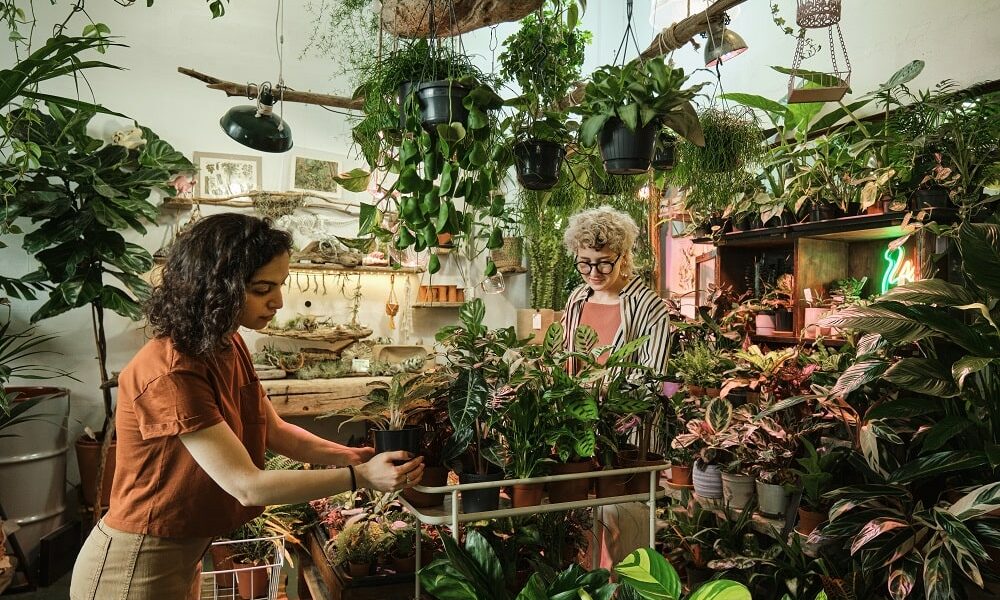Tuinieren zonder tuin in 5 stappen