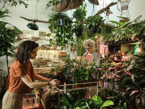 Tuinieren zonder tuin in 5 stappen