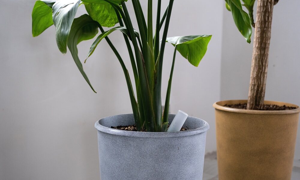 waterdruppelaar-maken-in-5-stappen-voor-planten