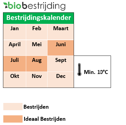 slakken bestrijden met aaltjes biobestrijding