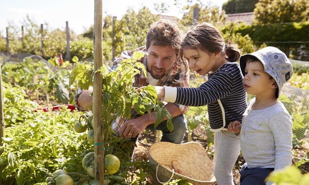 in het voorjaar aan de slag in de tuin
