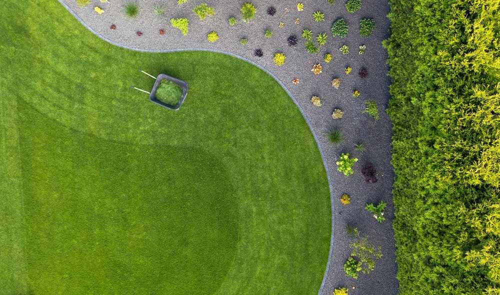 Ecologisch Gazon en de Verschillende Soorten Graszoden