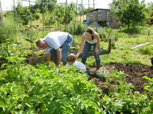 Je tuin tijdens de vakantie: tips voor vakantiegangers en thuisblijvers