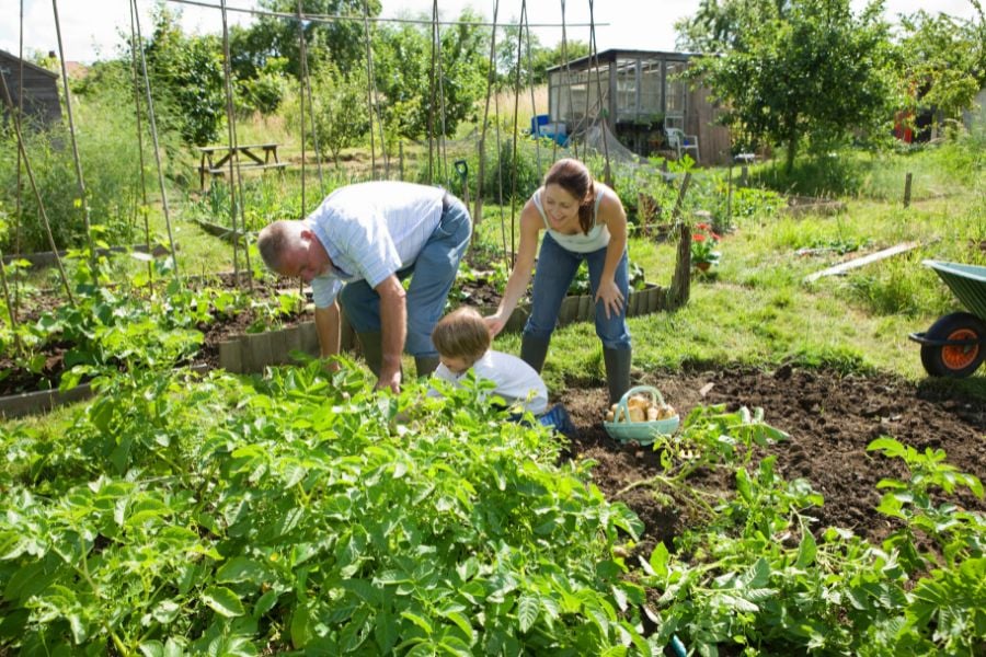 Je tuin tijdens de vakantie: tips voor vakantiegangers en thuisblijvers