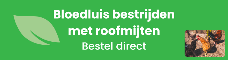 Bloedluis bestrijden met roofmijten - Bestel direct