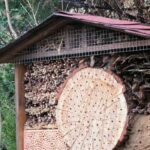 Insectenhotel in de winter