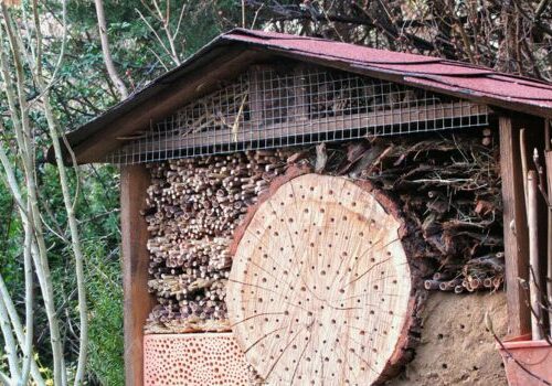 Insectenhotel in de winter