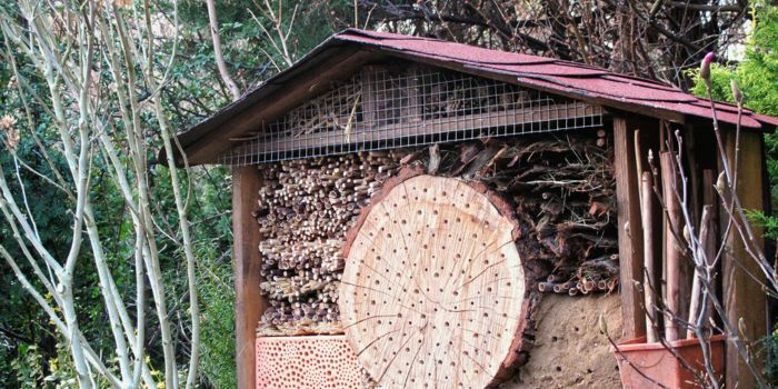 Insectenhotel in de winter