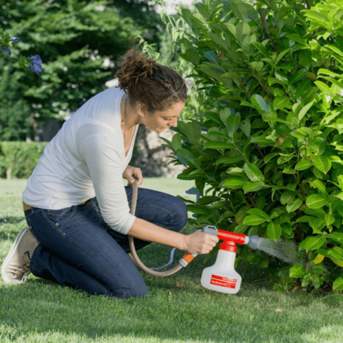 Birchmeier AquaNemix Sproeier voor aaltjes tuin