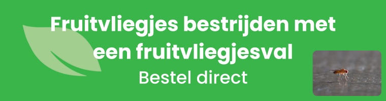 Fruitvliegjes bestrijden met een fruitvliegjesval - Bestel direct