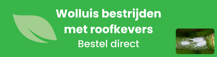 Wolluis bestrijden met roofkevers - bestel direct