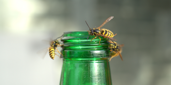 Wespen op fles
